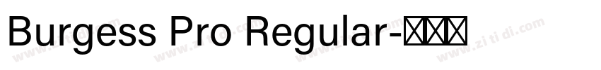 Burgess Pro Regular字体转换